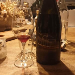 Les Vignes de l'Angevin - Jean-Pierre Robinot - Lumière des Sens