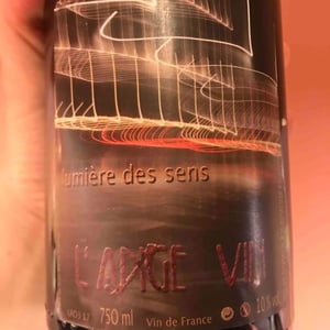 Les Vignes de l'Angevin - Jean-Pierre Robinot - Lumière des Sens