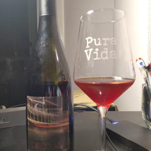 Les Vignes de l'Angevin - Jean-Pierre Robinot - Lumière des Sens