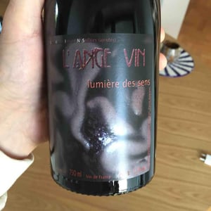 Les Vignes de l'Angevin - Jean-Pierre Robinot - Lumière des Sens