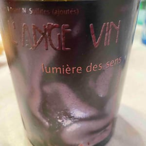 Les Vignes de l'Angevin - Jean-Pierre Robinot - Lumière des Sens