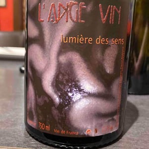 Lumière des Sens - Les Vignes de l'Angevin - jean-pierre-robinot