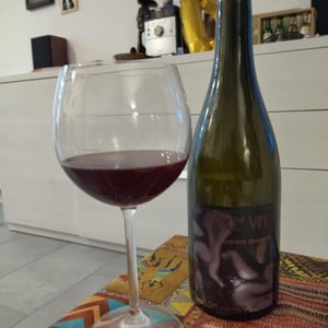 Les Vignes de l'Angevin - Jean-Pierre Robinot - Lumière des Sens