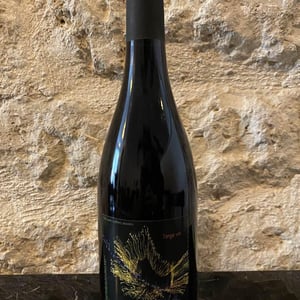 Lumière des Sens - Les Vignes de l'Angevin - jean-pierre-robinot