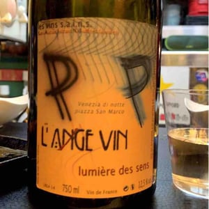Les Vignes de l'Angevin - Jean-Pierre Robinot - Lumière des Sens