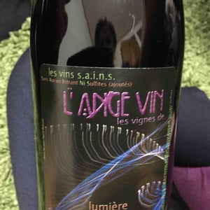 Les Vignes de l'Angevin - Jean-Pierre Robinot - Lumière des Sens