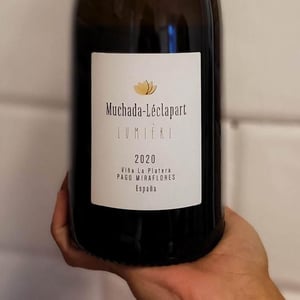 Lumière 2025 - Muchada-Léclapart - alejandro-muchada-david-leclapart