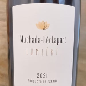 Lumière 2025 - Muchada-Léclapart - alejandro-muchada-david-leclapart