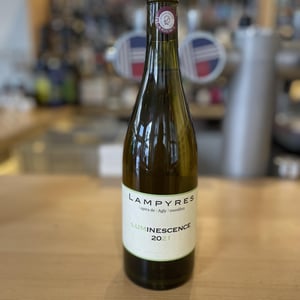 Luminescence - Domaine Lampyres - francois-xavier-daure -2020