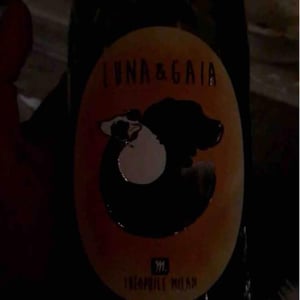 Domaine Milan - Emma, Théophile & Henri Milan - Luna & Gaia