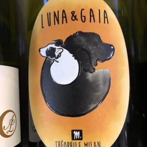 Luna & Gaia - Domaine Milan - Emma, Théophile & Henri Milan