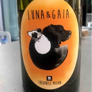 Domaine Milan - Emma, Théophile & Henri Milan - Luna & Gaia