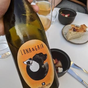 Domaine Milan - Emma, Théophile & Henri Milan - Luna & Gaia