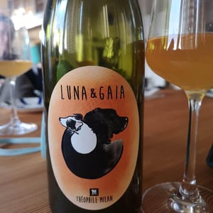 Domaine Milan - Emma, Théophile & Henri Milan - Luna & Gaia