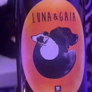 Luna & Gaia - Domaine Milan - Emma, Théophile & Henri Milan 