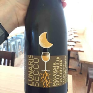 Lunaris Secco - Cooperativa Agricola La Collina - Enea Burani 
