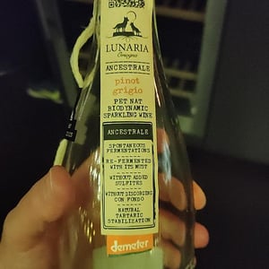 Lunaria Pinot Grigio - Cantina Orsogna - cantina-orsogna