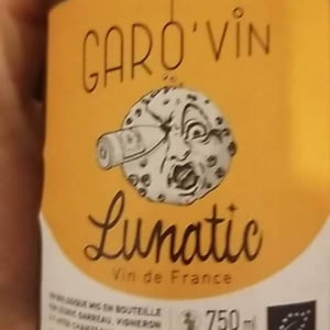 Garo'vin - Cédric Garreau - Lunatic