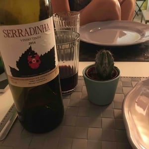 Quinta da Serradinha - António Marques da Cruz - Baga