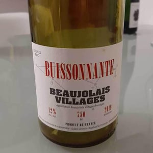 Domaine Leonis - Cristelle & Raphaël Champier - Lurons