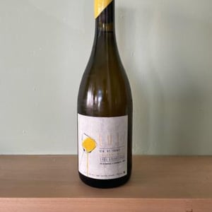 Lutz - La Graine Sauvage - sybil-baldassarre