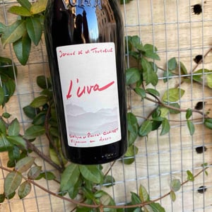 L'Uva Rouge - Domaine de la Tournelle - evelyne-clairet