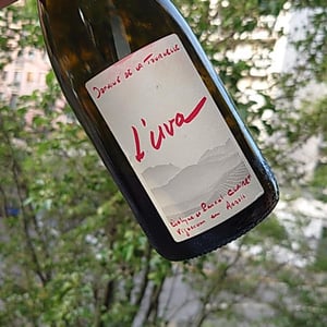 Domaine de la Tournelle - Evelyne Clairet - L'Uva Rouge