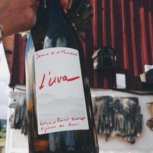 L'Uva Rouge - Domaine de la Tournelle - evelyne-clairet