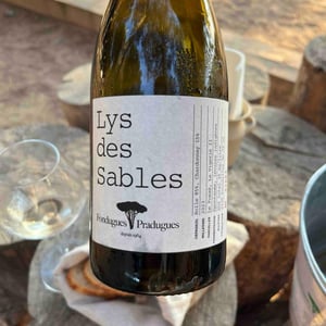 Lys de Sables - Fondugues-Pradugues - Stephen Roberts -2023