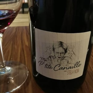 Ma P'tite Canaille - Stella Nova - philippe-richy