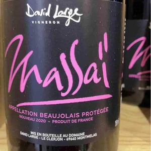 Massai - David Large - celia-rostand-et-david-large