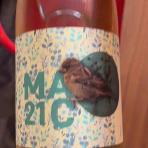 Mac21 - Casa Pardet - josep-torres -2021