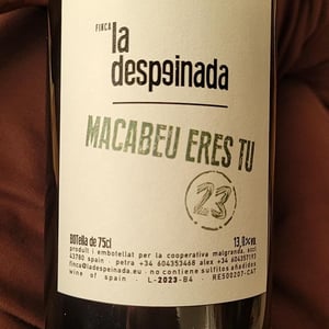 Macabeu Eres Tu - Finca la Despeinada - Petra y Alex -2023