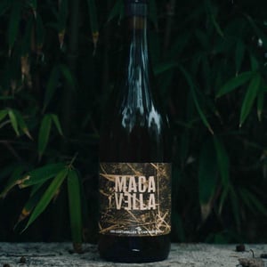 Macavella - Nuria Renom - Nuria Renom Suárez -2021