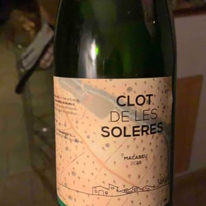 Clot de les Soleres - Montse i Carles Mora Ferrer - MACBeu