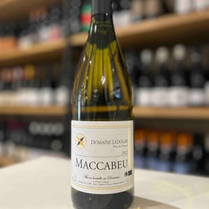 Petite Mélancolie - Domaine Ledogar - xavier-mathieu-benoit-ledogar -2024