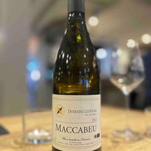 Petite Mélancolie - Domaine Ledogar - xavier-mathieu-benoit-ledogar -2024