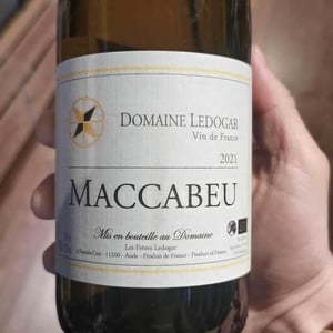 Petite Mélancolie - Domaine Ledogar - Xavier, Mathieu & Benoît Ledogar -2024