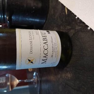 Petite Mélancolie - Domaine Ledogar - xavier-mathieu-benoit-ledogar -2024