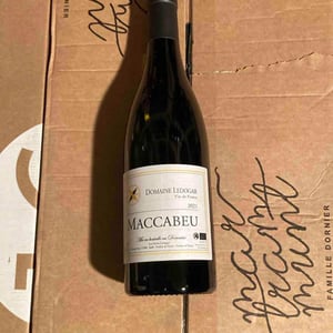 Petite Mélancolie - Domaine Ledogar - xavier-mathieu-benoit-ledogar -2024