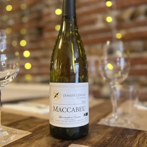 Petite Mélancolie - Domaine Ledogar - xavier-mathieu-benoit-ledogar -2024