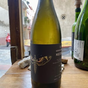 Petite Mélancolie - Domaine Ledogar - xavier-mathieu-benoit-ledogar -2024