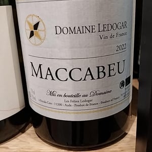 Petite Mélancolie - Domaine Ledogar - xavier-mathieu-benoit-ledogar -2024