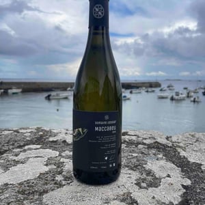 Petite Mélancolie - Domaine Ledogar - xavier-mathieu-benoit-ledogar -2024