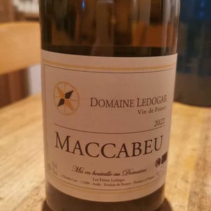 Petite Mélancolie - Domaine Ledogar - xavier-mathieu-benoit-ledogar -2024