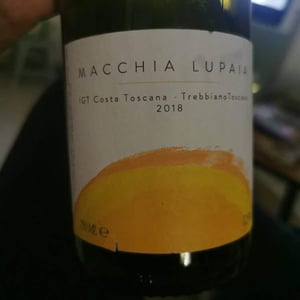 Macchia Lupaia - Azienda Agrigola Macchion dei Lupi - Carlo Parenti 