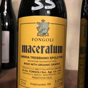 Maceratum - Fongoli - Angelo Fongoli 