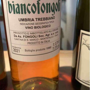 Maceratum - Fongoli - angelo-fongoli