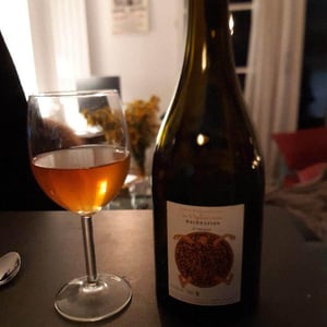 Macération de Mauzac ( X La Vignereuse) - Domaine Jousset - lise-bertrand-jousset