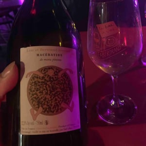 Macération de Menu Pineau - Domaine Jousset - lise-bertrand-jousset